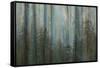 Forest I-Kathy Mahan-Framed Stretched Canvas