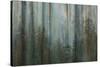 Forest I-Kathy Mahan-Stretched Canvas