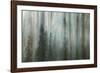 Forest II-Kathy Mahan-Framed Photographic Print