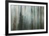 Forest II-Kathy Mahan-Framed Photographic Print