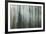 Forest II-Kathy Mahan-Framed Photographic Print