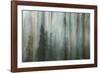 Forest II-Kathy Mahan-Framed Photographic Print