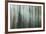 Forest II-Kathy Mahan-Framed Photographic Print