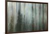 Forest II-Kathy Mahan-Framed Photographic Print