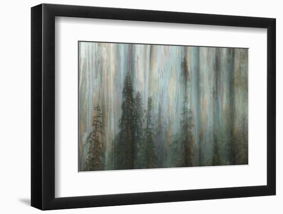 Forest II-Kathy Mahan-Framed Premium Photographic Print