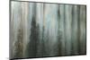 Forest II-Kathy Mahan-Mounted Premium Photographic Print