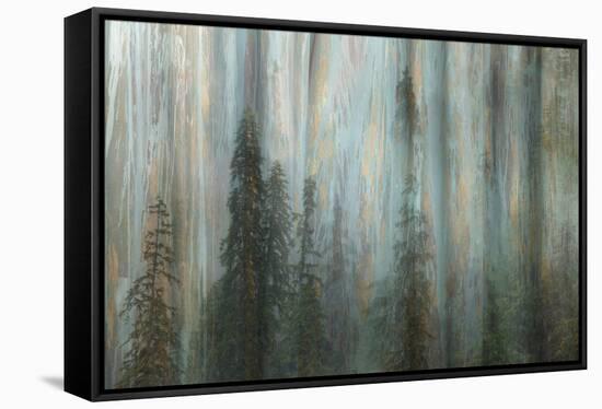 Forest II-Kathy Mahan-Framed Stretched Canvas