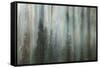 Forest II-Kathy Mahan-Framed Stretched Canvas
