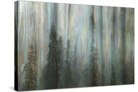 Forest II-Kathy Mahan-Stretched Canvas