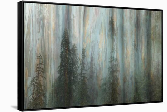 Forest II-Kathy Mahan-Framed Stretched Canvas