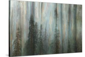 Forest II-Kathy Mahan-Stretched Canvas