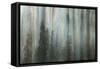 Forest II-Kathy Mahan-Framed Stretched Canvas