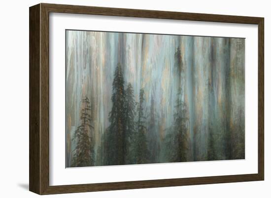 Forest II-Kathy Mahan-Framed Photographic Print