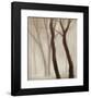 Forest III-Hess-Framed Art Print