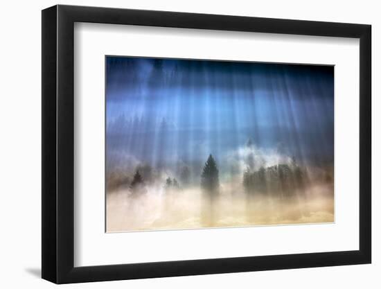 Forest Illumination-Marcin Sobas-Framed Photographic Print