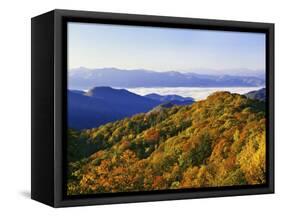 Forest in Autumn Color from Shot Beech Ridge, Great Smoky Mountains National Park, North Carolina-Dennis Flaherty-Framed Stretched Canvas