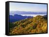 Forest in Autumn Color from Shot Beech Ridge, Great Smoky Mountains National Park, North Carolina-Dennis Flaherty-Framed Stretched Canvas