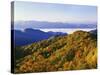 Forest in Autumn Color from Shot Beech Ridge, Great Smoky Mountains National Park, North Carolina-Dennis Flaherty-Stretched Canvas
