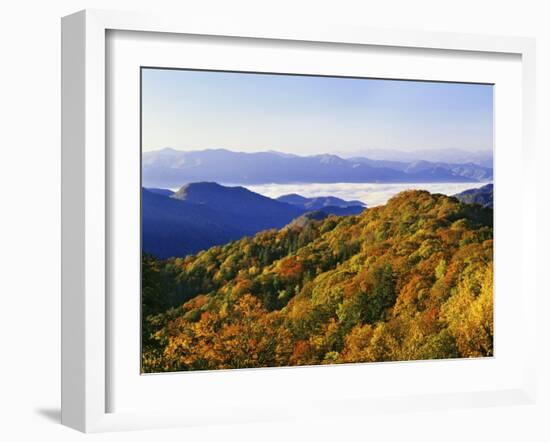 Forest in Autumn Color from Shot Beech Ridge, Great Smoky Mountains National Park, North Carolina-Dennis Flaherty-Framed Photographic Print