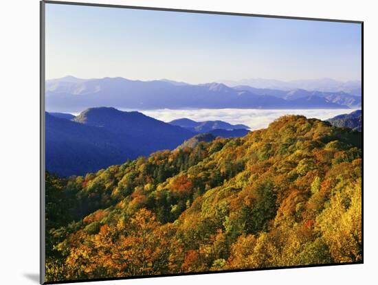 Forest in Autumn Color from Shot Beech Ridge, Great Smoky Mountains National Park, North Carolina-Dennis Flaherty-Mounted Photographic Print