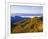 Forest in Autumn Color from Shot Beech Ridge, Great Smoky Mountains National Park, North Carolina-Dennis Flaherty-Framed Photographic Print