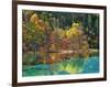 Forest in autumn colours, Sichuan, China-Frank Krahmer-Framed Art Print