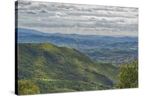 Forest in autumn, Monte Cucco Park, Apennines, Umbria, Italy, Europe-Lorenzo Mattei-Stretched Canvas