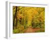 Forest in Autumn, Schoenbuch, Baden-Wurttemberg, Germany, Europe-Jochen Schlenker-Framed Premium Photographic Print