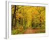 Forest in Autumn, Schoenbuch, Baden-Wurttemberg, Germany, Europe-Jochen Schlenker-Framed Photographic Print