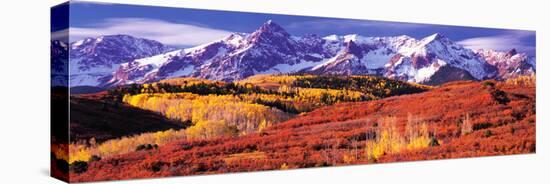 Forest in Autumn with Snow Covered Mountains in the Background, Telluride, San Miguel County, Co...-null-Stretched Canvas