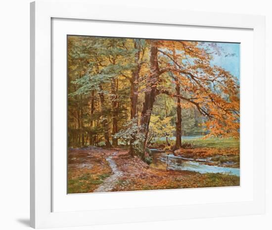 Forest in Autumn-Walter Kopp-Framed Art Print