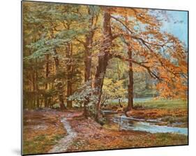 Forest in Autumn-Walter Kopp-Mounted Art Print
