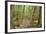 Forest in Fiordland National Park, Te Anau, New Zealand-Paul Dymond-Framed Photographic Print