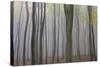 Forest in Fog, Near Frankfurt, Germany, Europe-Miles Ertman-Stretched Canvas