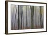 Forest in Fog, Near Frankfurt, Germany, Europe-Miles Ertman-Framed Photographic Print