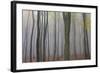 Forest in Fog, Near Frankfurt, Germany, Europe-Miles Ertman-Framed Photographic Print