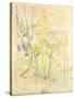 Forest in Fontainebleau, 1893 (W/C on Paper)-Berthe Morisot-Stretched Canvas