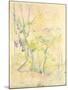 Forest in Fontainebleau, 1893 (W/C on Paper)-Berthe Morisot-Mounted Giclee Print