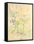 Forest in Fontainebleau, 1893 (W/C on Paper)-Berthe Morisot-Framed Stretched Canvas