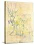 Forest in Fontainebleau, 1893 (W/C on Paper)-Berthe Morisot-Stretched Canvas