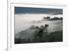 Forest in morning mist, Kibale National Park, Uganda-Keren Su-Framed Photographic Print