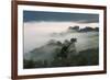 Forest in morning mist, Kibale National Park, Uganda-Keren Su-Framed Photographic Print