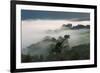 Forest in morning mist, Kibale National Park, Uganda-Keren Su-Framed Photographic Print