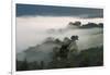 Forest in morning mist, Kibale National Park, Uganda-Keren Su-Framed Photographic Print