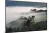 Forest in morning mist, Kibale National Park, Uganda-Keren Su-Mounted Photographic Print
