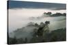 Forest in morning mist, Kibale National Park, Uganda-Keren Su-Stretched Canvas