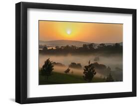 Forest in morning mist, Kibale National Park, Uganda-Keren Su-Framed Photographic Print