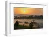 Forest in morning mist, Kibale National Park, Uganda-Keren Su-Framed Photographic Print