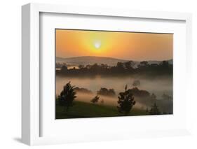 Forest in morning mist, Kibale National Park, Uganda-Keren Su-Framed Photographic Print