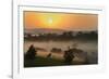 Forest in morning mist, Kibale National Park, Uganda-Keren Su-Framed Photographic Print